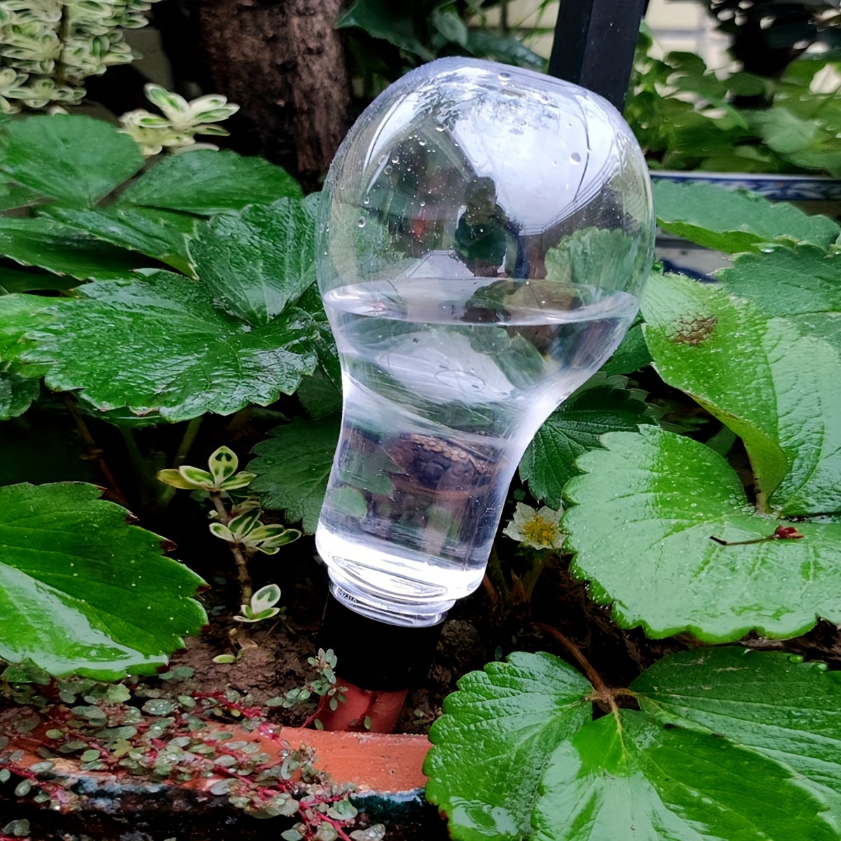 Garden Automatic Watering Tool - Gardening Tools For Home recension och pris
