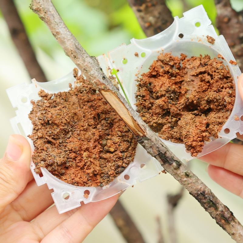Reusable Plant Rooting Ball Gr - Gardening Tools Organiser recension och pris