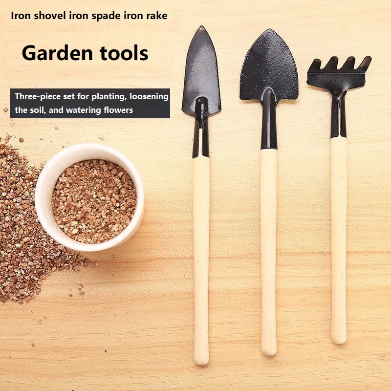 3PCS Planting Tools Mini Diggi - Gardening Tools For Weeds recension och pris