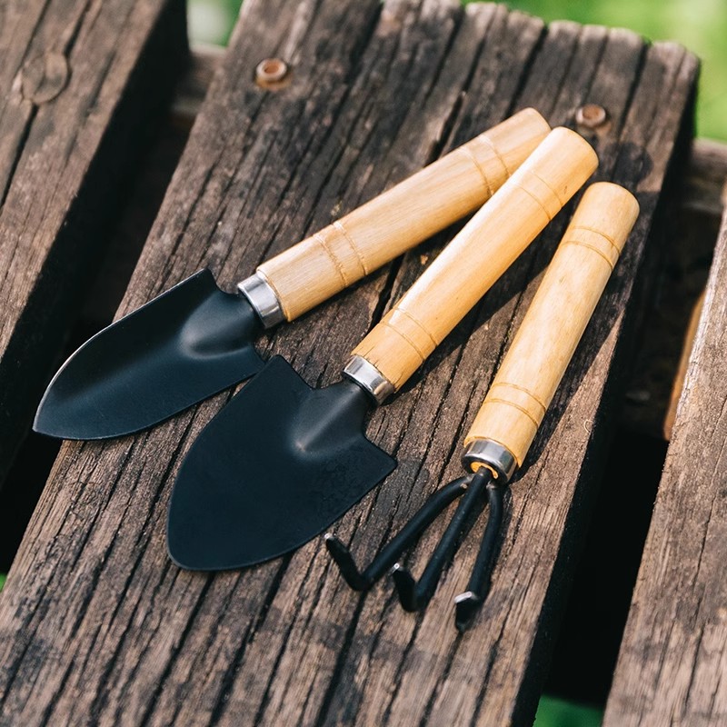3PCS Planting Tools Mini Diggi - Gardening Tools For Weeds recension och pris