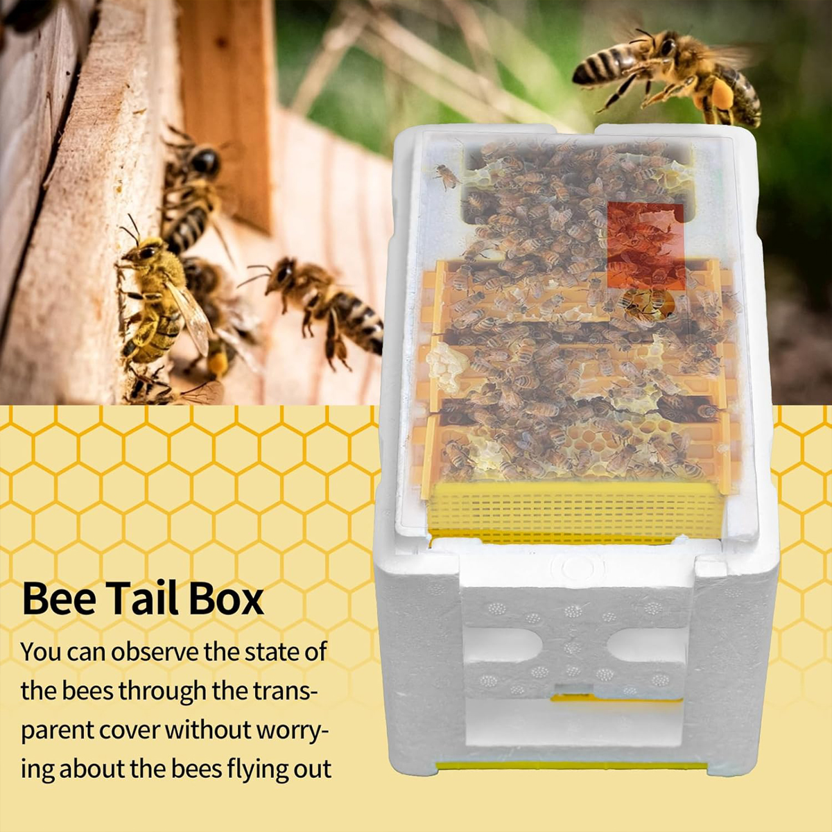 Queen Mating Box Breeding Beek - Gardening Tools Organiser recension och pris