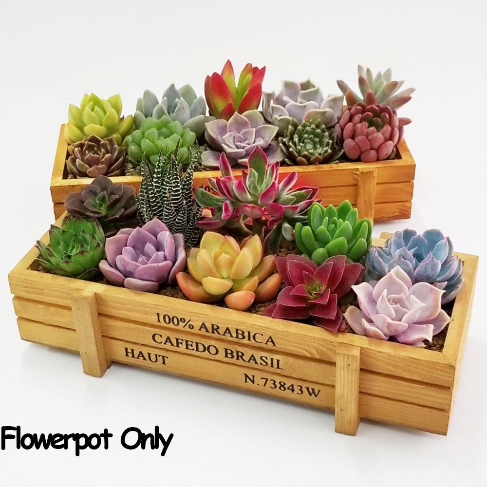 1 PC Tools Garden Decor Trough - Gardening Tools Organiser recension och pris