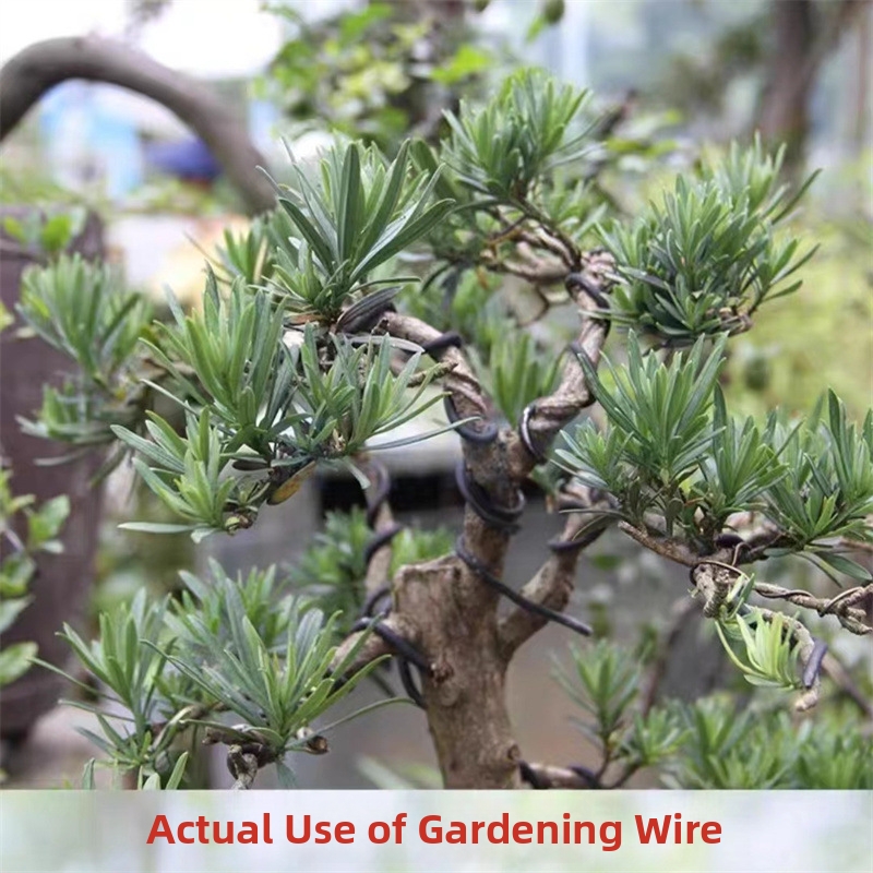 1.5MM Bonsai Wires Aluminum Bo - Gardening Tools For Home recension och pris