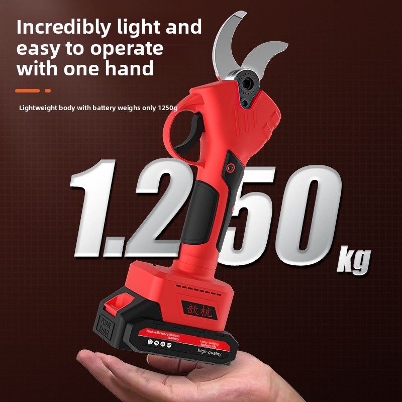 Rechargeable Lithium Battery E - Gardening Tools Basic recension och pris