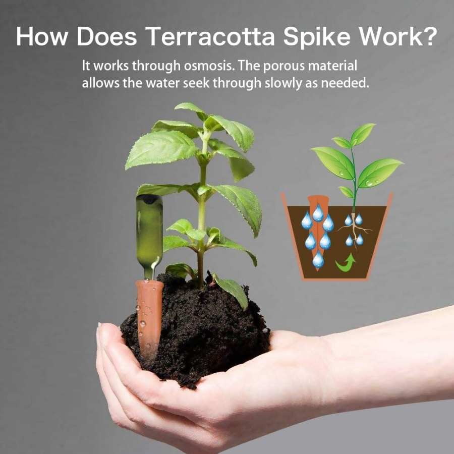 8 PCS Self Watering Terracotta - Gardening Tools Kit For Home Garden recension och pris